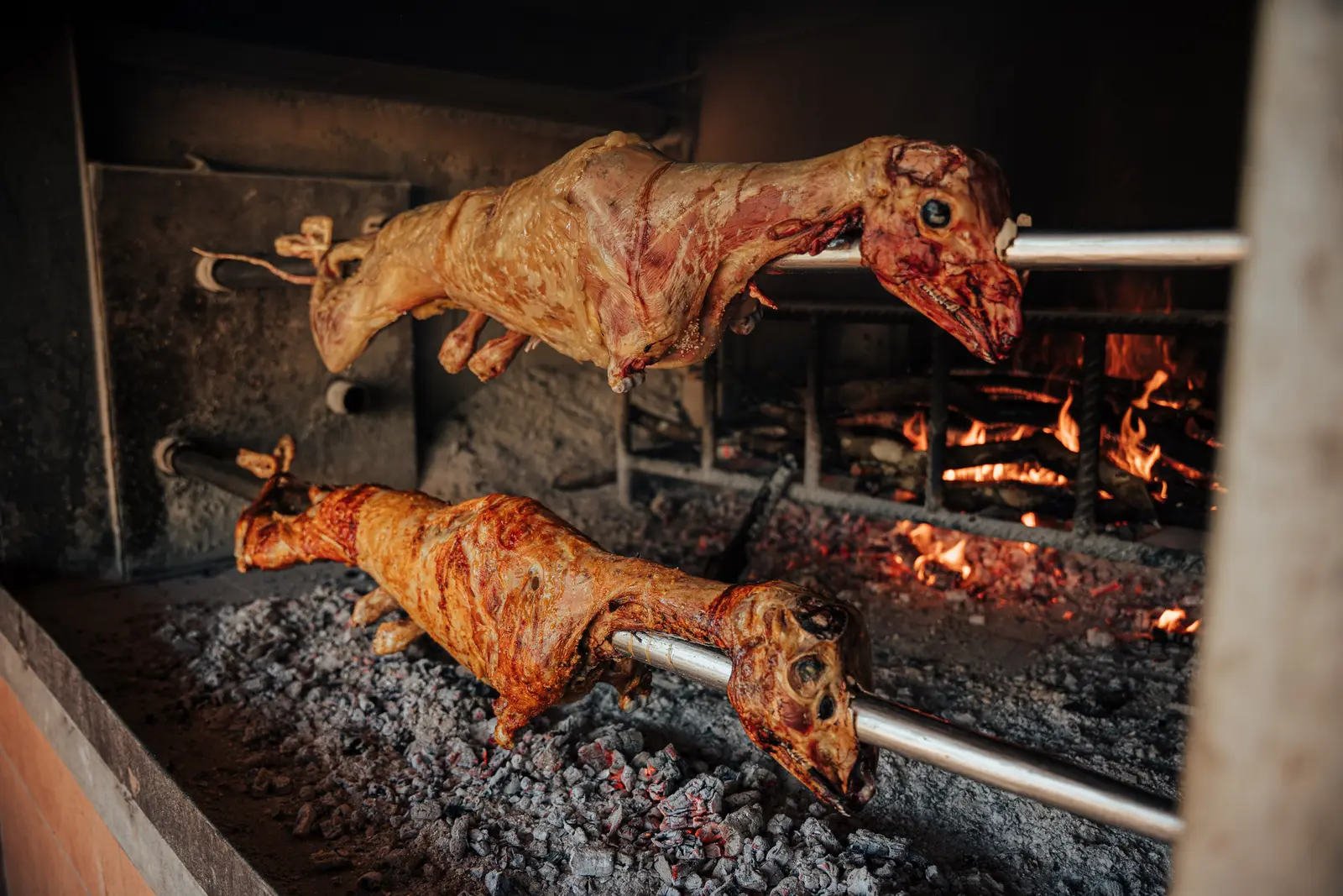 Instagram — Restoran Hajduk